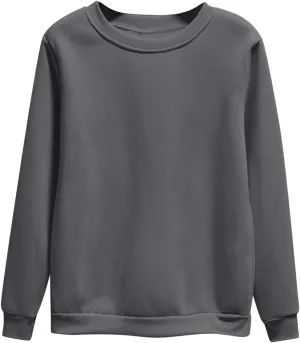 Lightweight Sweatshirts For Women Cute Long Sleeve Crewneck Oversized Pullovers Casual Loose Fall Fashion Outfits 2024